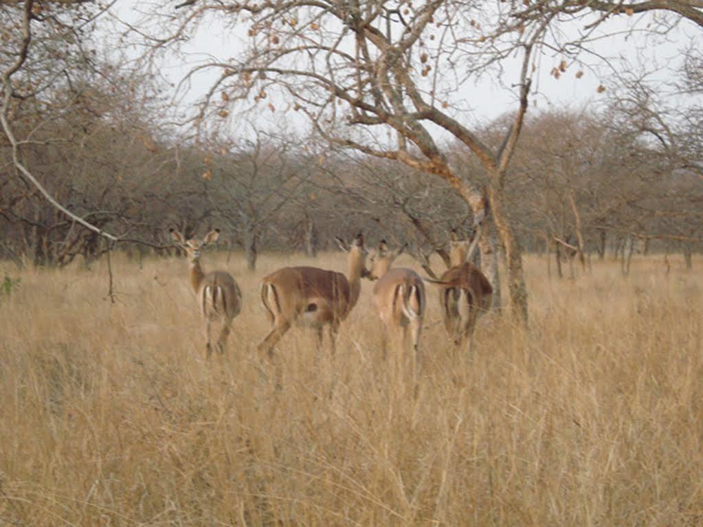 Maduma Boma Game Conservancy Hoedspruit Exterior photo